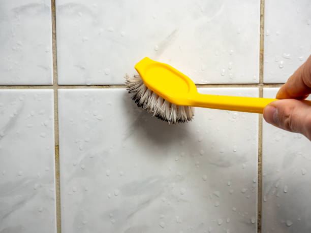 Best Basement Mold Remediation in Piqua, OH