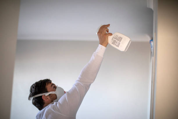 Professional Mold Remediation in Piqua, OH